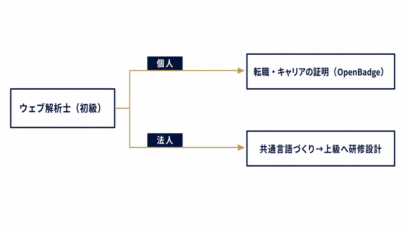 個人のキャリアと法人研修、2つの活用ルート